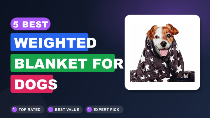 5 Best Weighted Blanket for Dogs